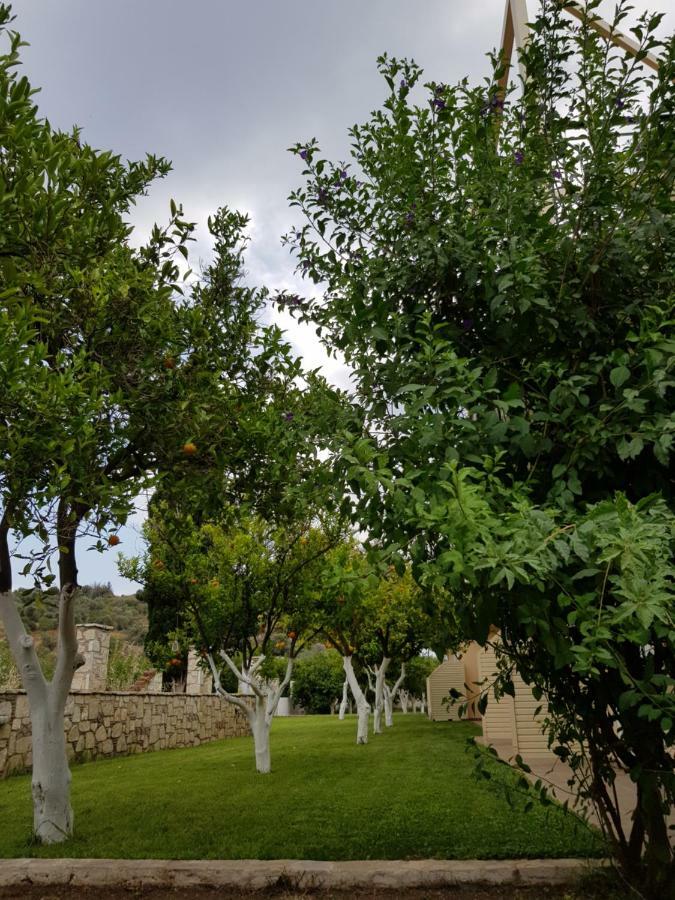 Апартаменты Το Είδωλον Epidaurus Экстерьер фото